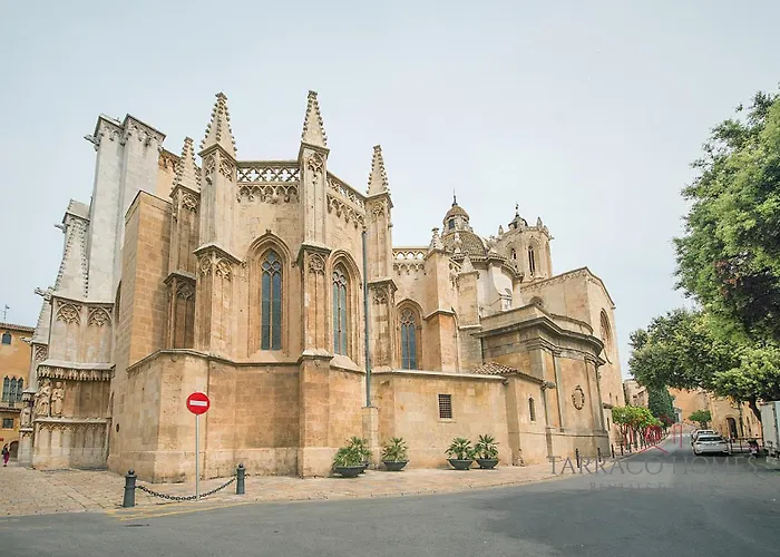 Miracle Tarragona, Tarracohomes Tarragona